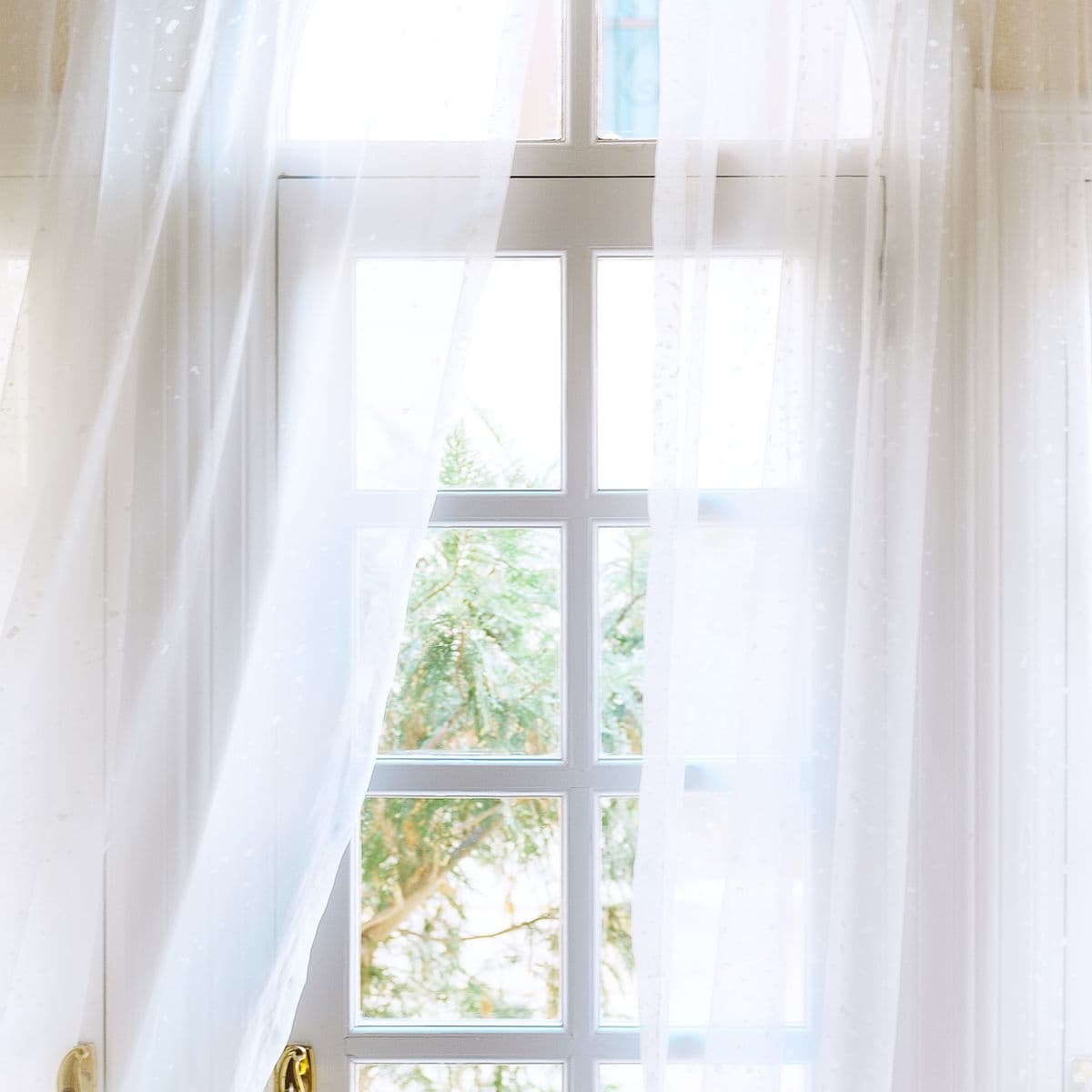 A white voile curtain at a bright window in soft daylight