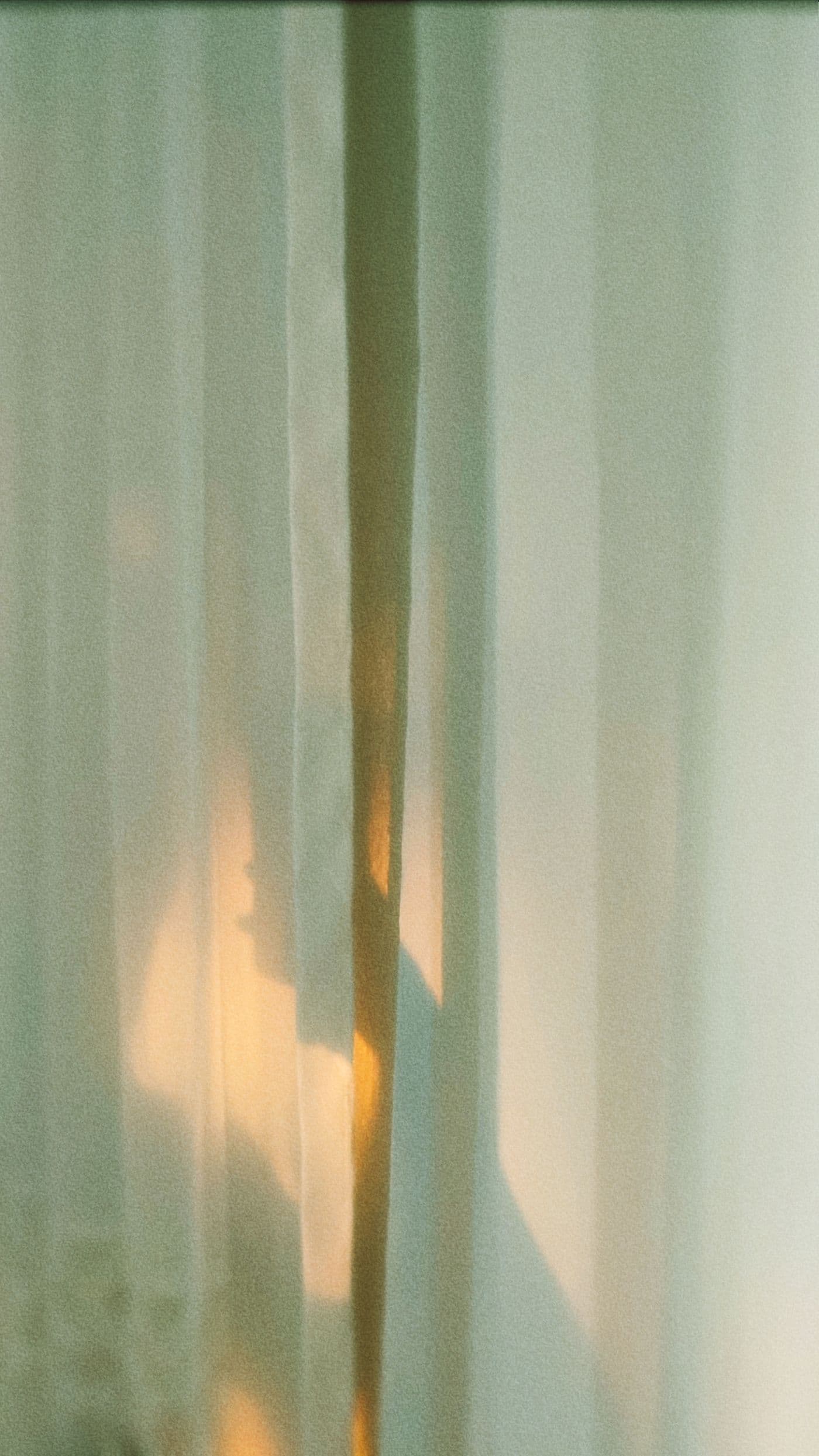 Soft sheer voile glowing in warm daylight